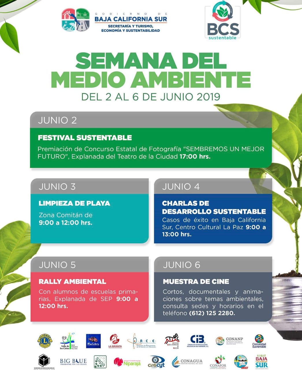 extraer esclavo tuyo Eventos del día del Medio Ambiente - SETUE | Secretaría de Turismo y  Economía | Gobierno de Baja California Sur